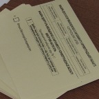 Вибори Молод парламент 2018