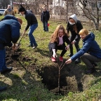 дерева до 10 квітня