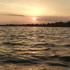 база Сосновий гай